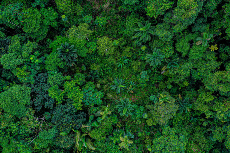 UK National Security Climate Change: Hinchliff Warns on Eco Crisis